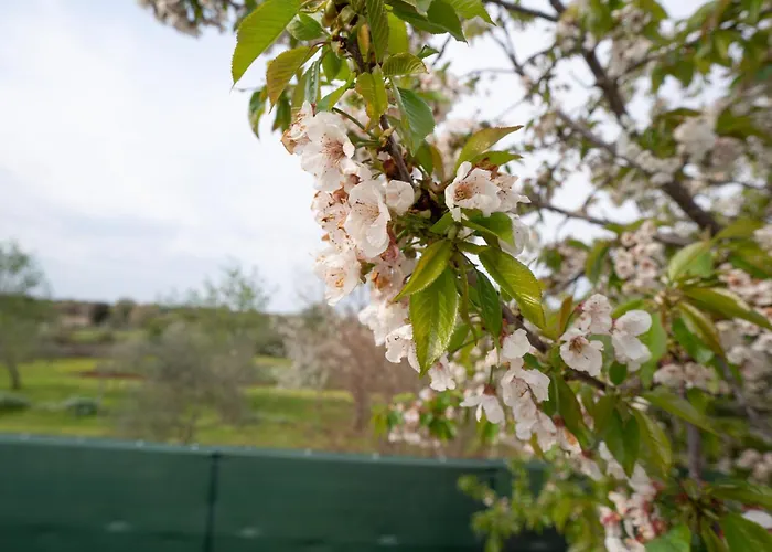 House Emily * 로비니